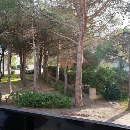 Appartement T2 A 50M De La Plage Avec Balcon Et Parking - Argeles-Sur-Mer - Fr-1-388-43 Exterior foto